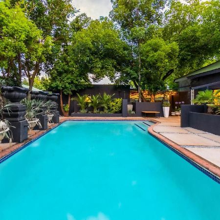 Royal Tree Guest House Potchefstroom Dış mekan fotoğraf